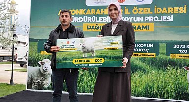 İl genelindeki 127 yetiştiriciye 3 bin 72 koyun ve 128 koç teslim edildi