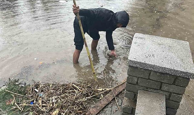 Ilıcabaşı Mahallesi'nde kargı çöpleri giderleri tıkadı, Muhtar Tarım vatandaşları uyardı