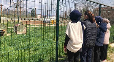 İmam hatip öğrencileri E-twinning projesi kapsamında hayvan barınağını ziyaret etti