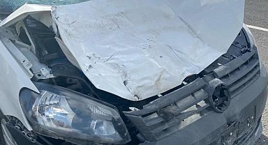 İneğe çarpan otomobilin sürücüsü hayatını kaybetti