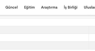 İstanbul Üniversitesi diplomasını iptal etmişti, Galatasaray Üniversitesi'nde 'Naciye Aylin Ataay Saybaşılı" sessizliği
