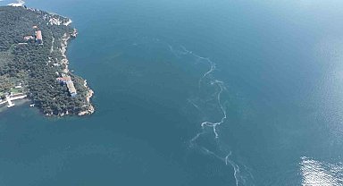 İstanbul'da müsilaj yeniden ortaya çıktı