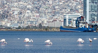 İzmir'in iklim krizi ile mücadelesi güçleniyor