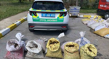 Jandarma 1 ton 800 kilogram salyangoz ele geçirdi