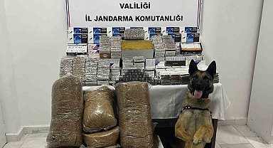 Jandarmadan kaçak makaron operasyonu