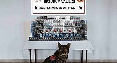 Jandarmadan kaçakçılara geçit yok