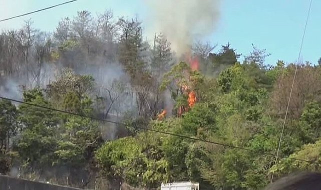 Japonya'da orman yangını: Bin 534 kişiye tahliye uyarısı yapıldı