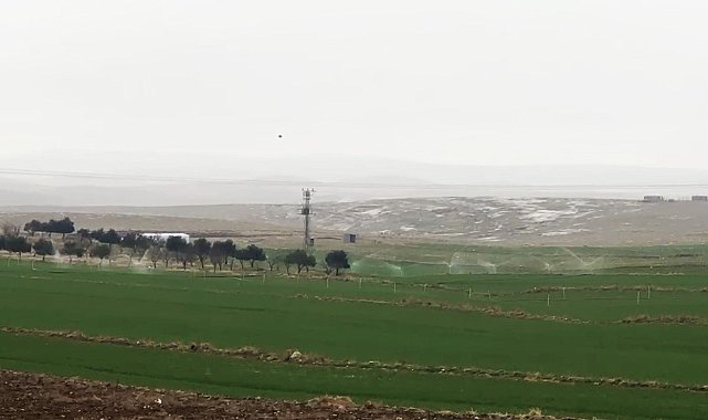 Kaçak elektrikle sulama yağmur yağarken de devam etti