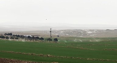 Kaçak elektrikle sulama yağmur yağarken de devam etti