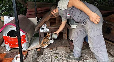 Kağıthane'de bir yılda 10 bin 882 can dost rehabilite edildi