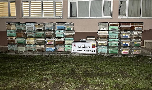 Kağızman'da arı kovanı hırsızları yakalandı