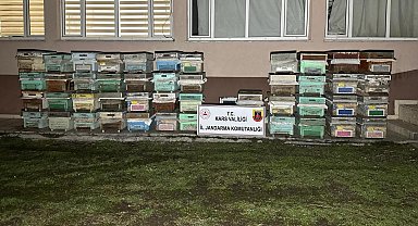 Kağızman'da arı kovanı hırsızları yakalandı