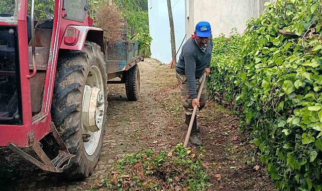 Karacasu Belediyesi'nden Kahvederesi Yaylası'nda temizlik mesaisi
