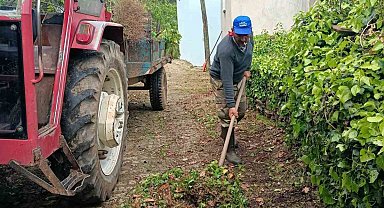 Karacasu Belediyesi'nden Kahvederesi Yaylası'nda temizlik mesaisi