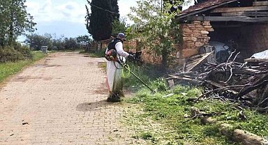 Karacasu Belediyesi'nden yeşil alanlarda yoğun mesai