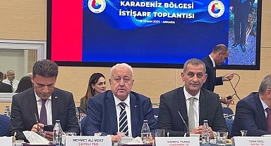 Karadeniz Bölgesi İstişare Toplantısı