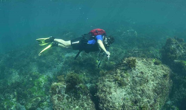 Karadeniz'in su altı güzellikleri keşfedilecek