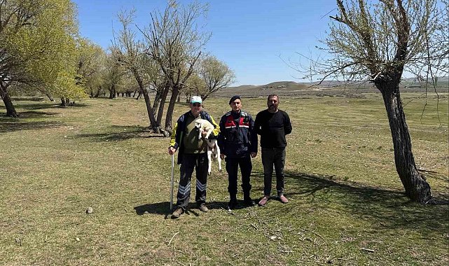 Kayıp küçükbaş hayvanı jandarma buldu
