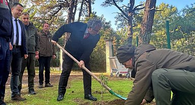 Kaymakam Keklik'ten sakız ağacı fidanlarına bahar bakımı