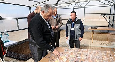Kayseri Talas'ta tulum eşliğinde tohum şenliği