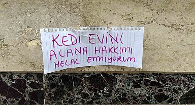 Kedi evini çalanlara hakkını helal etmedi