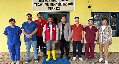 Kemer'de sokak hayvanlarına destek çağrısı