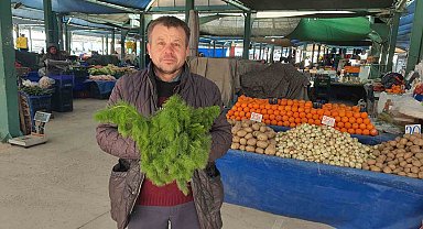 Kendiliğinden yetişen çaşır otu yok satıyor