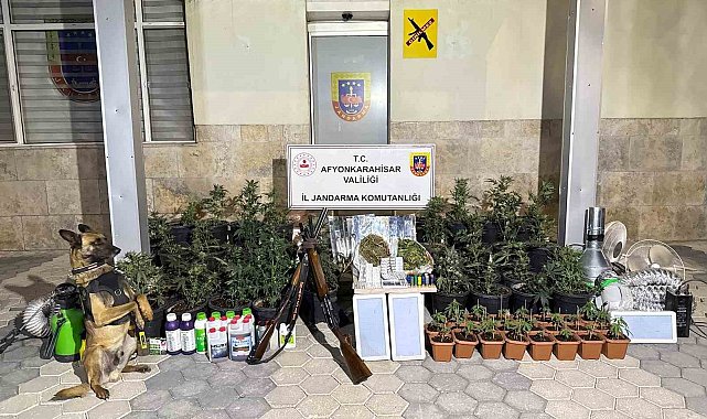 Kenevir yetiştiren şahıslar esrar ve uyuşturucu haplarla yakalandı
