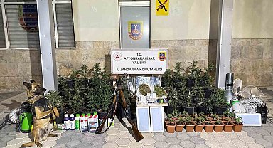 Kenevir yetiştiren şahıslar esrar ve uyuşturucu haplarla yakalandı