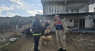 Kilis'te kayıp 26 küçükbaş hayvan ormanlık alanda bulundu