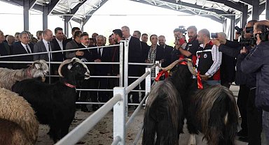 Kıran kırana kurban pazarlıklı pazar açılışı