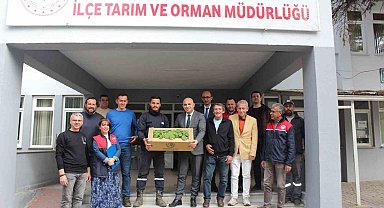 Kırklareli'nde üreticilere hıyar fidesi dağıtıldı
