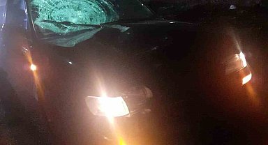 Konya'da otomobilin çarptığı yaşlı kadın hayatını kaybetti