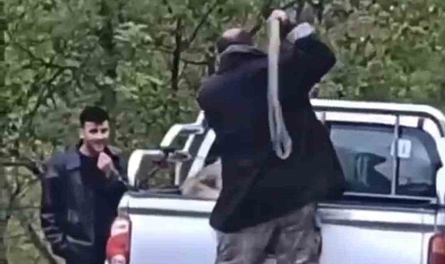 Köpeğe halatla şiddet uygulayan şahıs gözaltına alındı