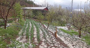 Kozan'da dolu yağışı etkili oldu