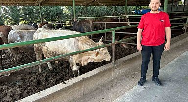 Kurbanlık fiyatlarında geçen yıla oranla büyük değişiklik yok
