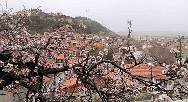 Kütahya'da badem ağaçları bu yıl zamanında çiçek açtı