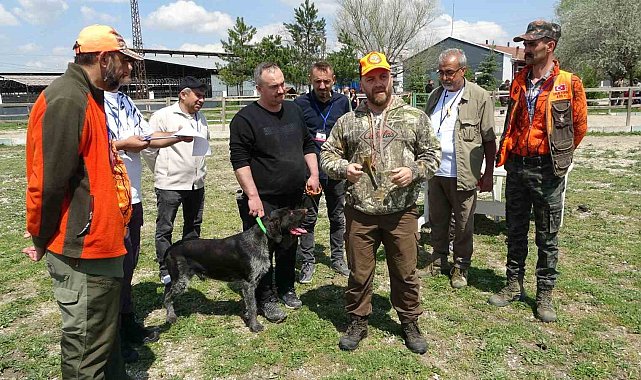 Kütahya'da Fermalı Av Köpekleri Mera Yarışması düzenlendi
