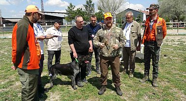 Kütahya'da Fermalı Av Köpekleri Mera Yarışması düzenlendi