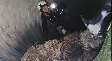 Kuyuya düşen koyunu itfaiye kurtardı