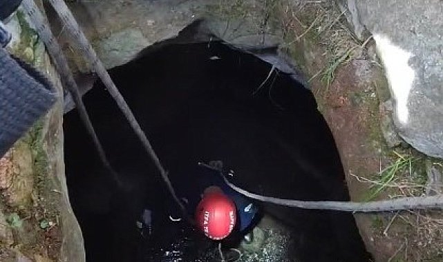 Kuyuya düşen minik köpeği itfaiye ekipleri kurtardı