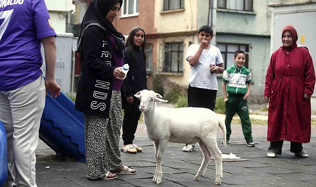 Kuzuya evlatları gibi bakıyorlar