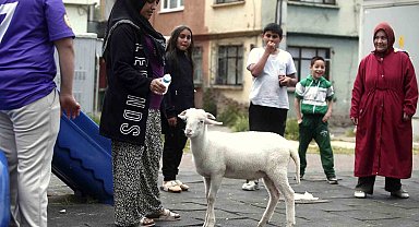 Kuzuya evlatları gibi bakıyorlar