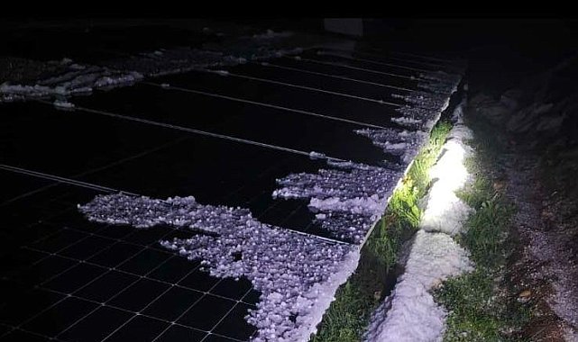 Malatya'da dolu yağışı kayısı bahçelerine zarar verdi