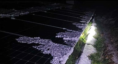 Malatya'da dolu yağışı kayısı bahçelerine zarar verdi