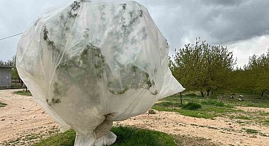 Malatya'da kayısı üreticilerinden "zirai don" önlemi