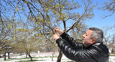 Malatya'da zirai don felaketi