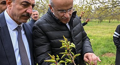 Malatya'da zirai dondan etkilenen çiftçilere ziyaret