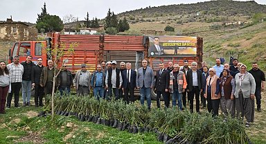 Manisa Büyükşehir yanan alanları yeşillendiriyor