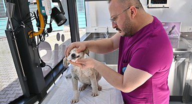 Manisa'da Vetbüs projesi hizmete başladı